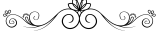 text-divider-with-transparent-background-png